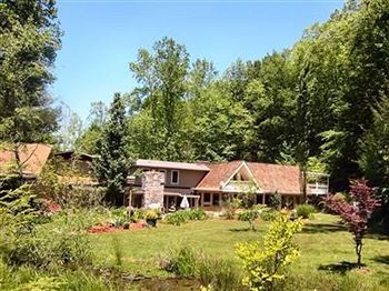 Rock Laurel Bed And Breakfast Candler Exterior foto